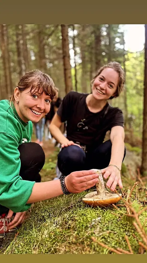 Mushroom foraging in nature